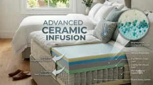 A graphic diagram showcasing advanced ceramic infusion technology with arrows demonstrating optimised temperature control and enhanced heat dissipation.